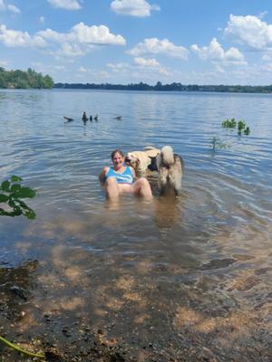 Kari a emmené des chiens à la rivière