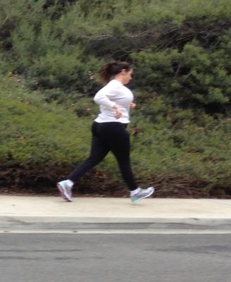 A fat cow on a run