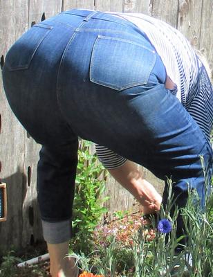 Big Ass Oma Gärtner