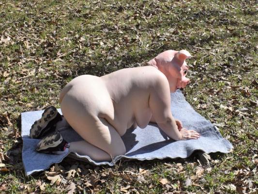 BBW-Schwein auf einer Decke im Freien