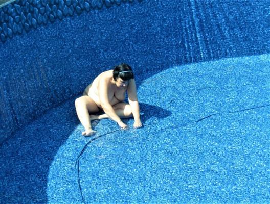 Cochon dans la piscine