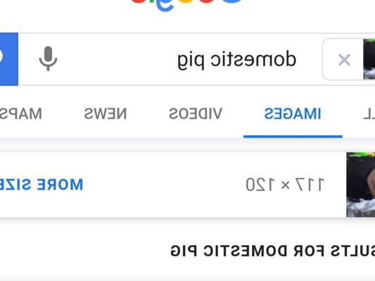 Google безжалостен при поиске изображений, блин!