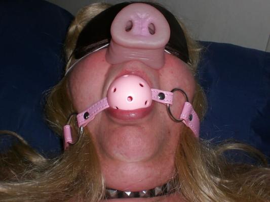 Fat Pig Ball gaged Blindfolded CUM Facial. OINK OINK!