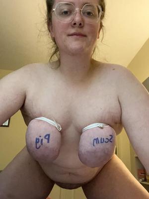 Gebundenes BBW